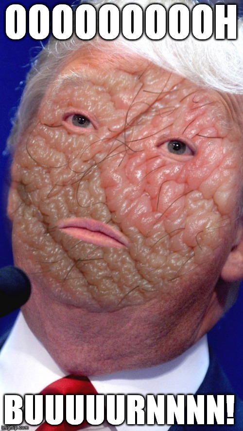 Make Donald Drumpf Again | OOOOOOOOOH BUUUUURNNNN! | image tagged in make donald drumpf again | made w/ Imgflip meme maker