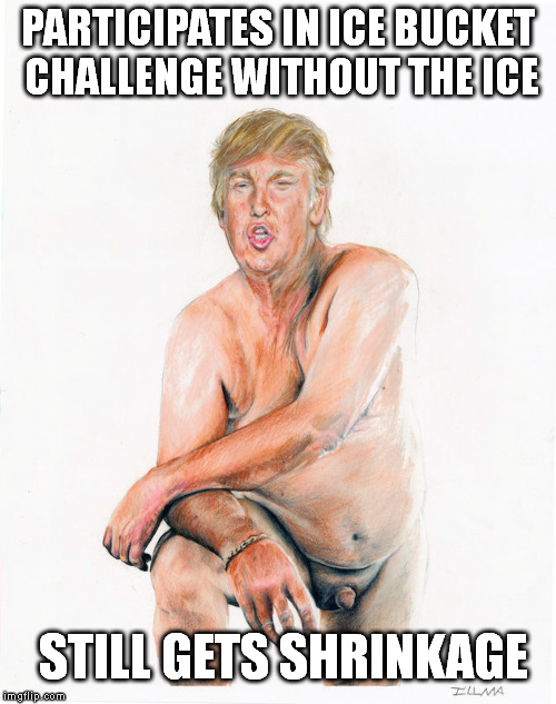 Donald Trump | PARTICIPATES IN ICE BUCKET CHALLENGE WITHOUT THE ICE STILL GETS SHRINKAGE | image tagged in donald trump,nsfw,shrinkage,make donald drumpf again,ice bucket challenge | made w/ Imgflip meme maker