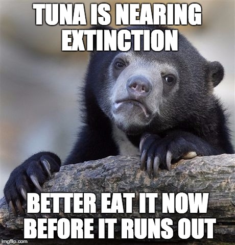 Confession Bear | TUNA IS NEARING EXTINCTION; BETTER EAT IT NOW BEFORE IT RUNS OUT | image tagged in memes,confession bear,AdviceAnimals | made w/ Imgflip meme maker