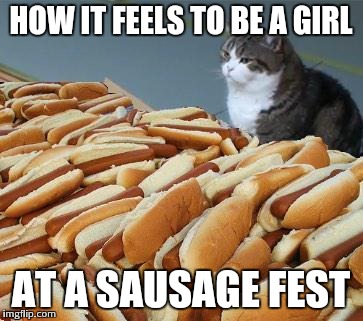 Too many hot dogs | HOW IT FEELS TO BE A GIRL; AT A SAUSAGE FEST | image tagged in too many hot dogs | made w/ Imgflip meme maker