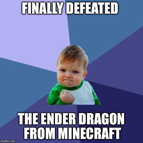 Success Kid | FINALLY DEFEATED; THE ENDER DRAGON FROM MINECRAFT | image tagged in memes,success kid | made w/ Imgflip meme maker