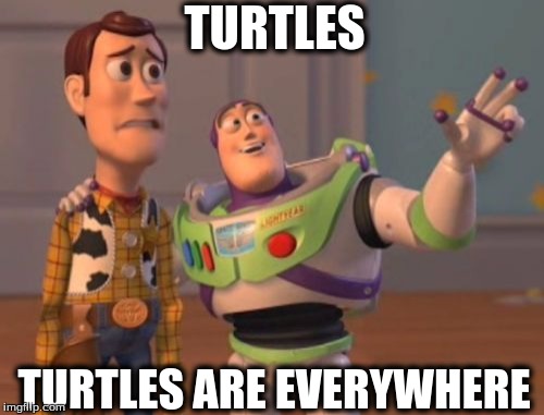 X, X Everywhere | TURTLES; TURTLES ARE EVERYWHERE | image tagged in memes,x x everywhere | made w/ Imgflip meme maker