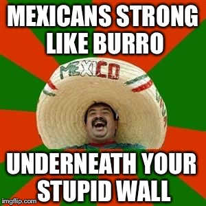 succesful mexican | MEXICANS STRONG LIKE BURRO; UNDERNEATH YOUR STUPID WALL | image tagged in succesful mexican | made w/ Imgflip meme maker