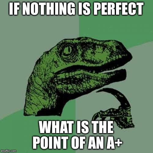 Philosoraptor | IF NOTHING IS PERFECT; WHAT IS THE POINT OF AN A+ | image tagged in memes,philosoraptor | made w/ Imgflip meme maker