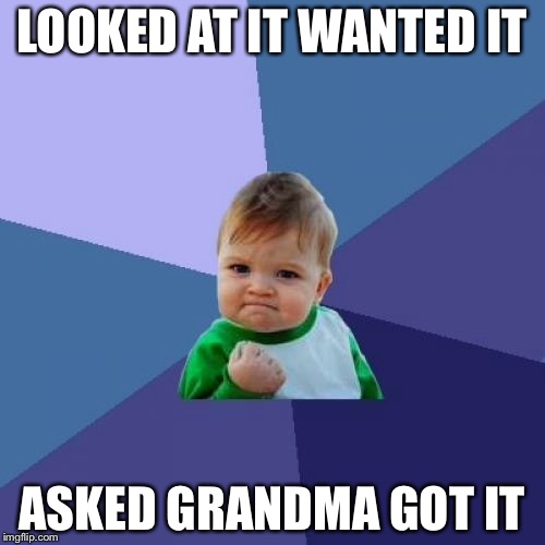 Success Kid | LOOKED AT IT WANTED IT; ASKED GRANDMA GOT IT | image tagged in memes,success kid | made w/ Imgflip meme maker