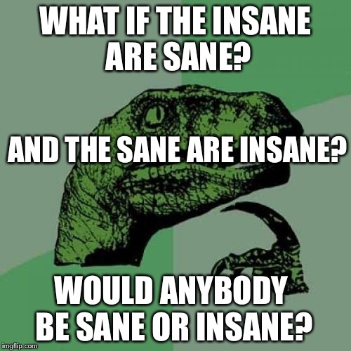 Philosoraptor Meme | WHAT IF THE INSANE ARE SANE? AND THE SANE ARE INSANE? WOULD ANYBODY BE SANE OR INSANE? | image tagged in memes,philosoraptor | made w/ Imgflip meme maker