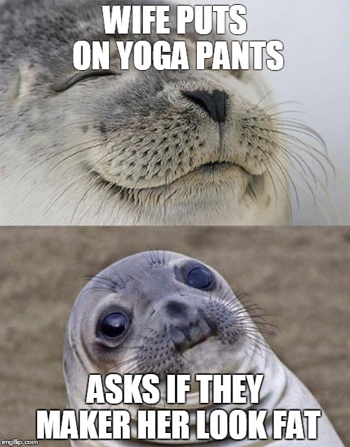 Short Satisfaction VS Truth Meme | WIFE PUTS ON YOGA PANTS; ASKS IF THEY MAKER HER LOOK FAT | image tagged in memes,short satisfaction vs truth | made w/ Imgflip meme maker