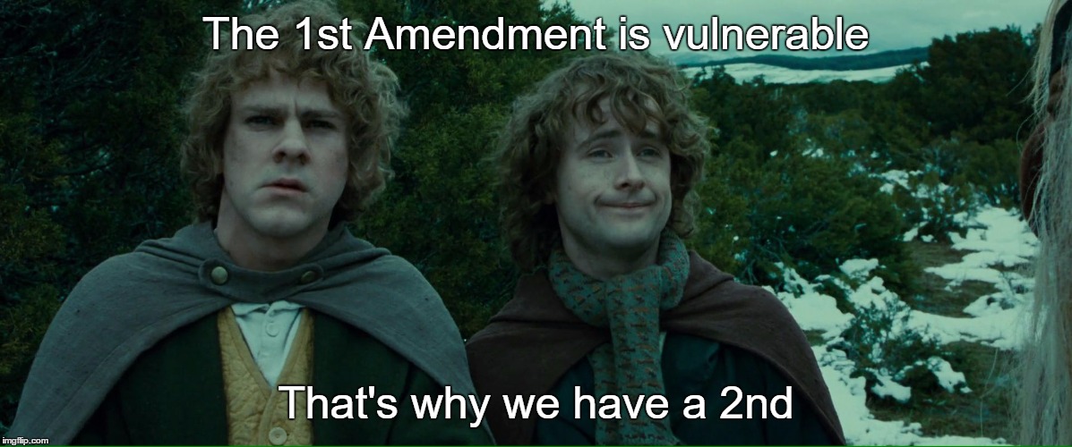 I certainly can't trust the government to protect it! | The 1st Amendment is vulnerable; That's why we have a 2nd | image tagged in lord of the rings lotr elevenses,lotr,lol,guns,2nd amendment | made w/ Imgflip meme maker