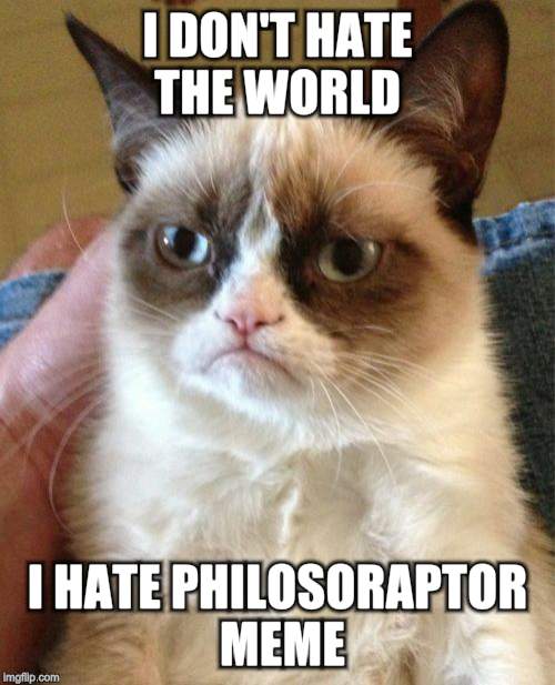 Grumpy Cat Meme | I DON'T HATE THE WORLD I HATE PHILOSORAPTOR MEME | image tagged in memes,grumpy cat | made w/ Imgflip meme maker