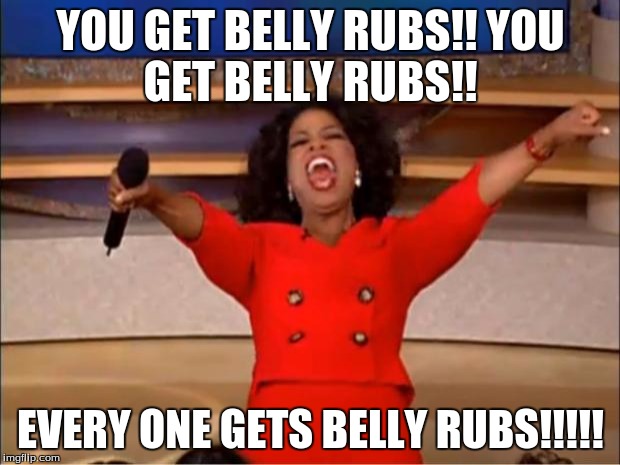 Oprah You Get A Meme | YOU GET BELLY RUBS!!
YOU GET BELLY RUBS!! EVERY ONE GETS BELLY RUBS!!!!! | image tagged in memes,oprah you get a | made w/ Imgflip meme maker