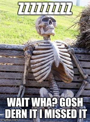 Waiting Skeleton Meme | ZZZZZZZZZ WAIT WHA? GOSH DERN IT I MISSED IT | image tagged in memes,waiting skeleton | made w/ Imgflip meme maker