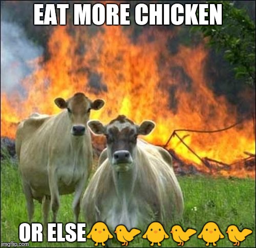 Evil Cows Meme | EAT MORE CHICKEN; OR ELSE🐥🐦🐥🐦🐥🐦 | image tagged in memes,evil cows | made w/ Imgflip meme maker