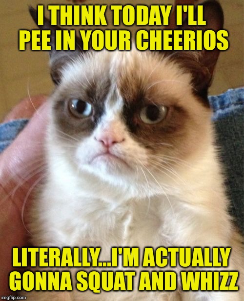 Why just talk about it when you can do it  | I THINK TODAY I'LL PEE IN YOUR CHEERIOS; LITERALLY...I'M ACTUALLY GONNA SQUAT AND WHIZZ | image tagged in memes,grumpy cat | made w/ Imgflip meme maker