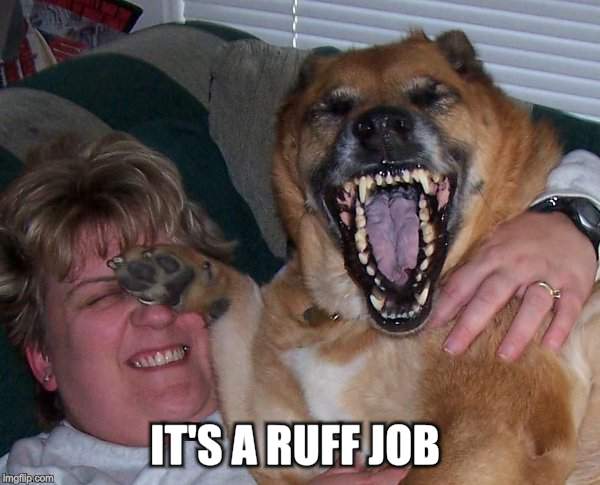 laughing dog | IT'S A RUFF JOB | image tagged in laughing dog | made w/ Imgflip meme maker