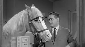 High Quality Mr. Ed Blank Meme Template