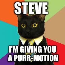 Buisness Cat  | STEVE; I'M GIVING YOU A PURR-MOTION | image tagged in buisness cat | made w/ Imgflip meme maker