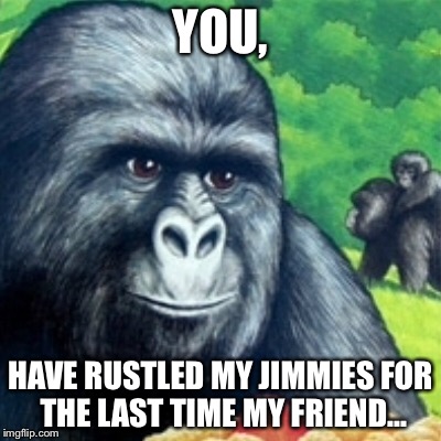 YOU, HAVE RUSTLED MY JIMMIES FOR THE LAST TIME MY FRIEND... | made w/ Imgflip meme maker