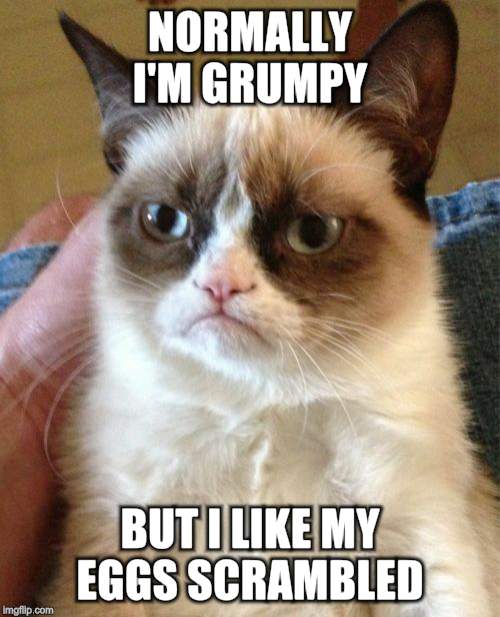 Grumpy Cat Meme | NORMALLY I'M GRUMPY BUT I LIKE MY EGGS SCRAMBLED | image tagged in memes,grumpy cat | made w/ Imgflip meme maker