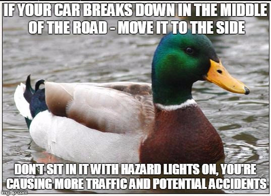 Actual Advice Mallard Meme | IF YOUR CAR BREAKS DOWN IN THE MIDDLE OF THE ROAD - MOVE IT TO THE SIDE; DON'T SIT IN IT WITH HAZARD LIGHTS ON, YOU'RE CAUSING MORE TRAFFIC AND POTENTIAL ACCIDENTS | image tagged in memes,actual advice mallard | made w/ Imgflip meme maker