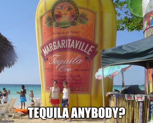 TEQUILA ANYBODY? | made w/ Imgflip meme maker