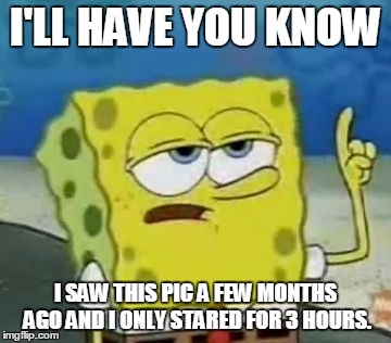 I'll Have You Know Spongebob Meme | I'LL HAVE YOU KNOW; I SAW THIS PIC A FEW MONTHS AGO AND I ONLY STARED FOR 3 HOURS. | image tagged in memes,ill have you know spongebob | made w/ Imgflip meme maker
