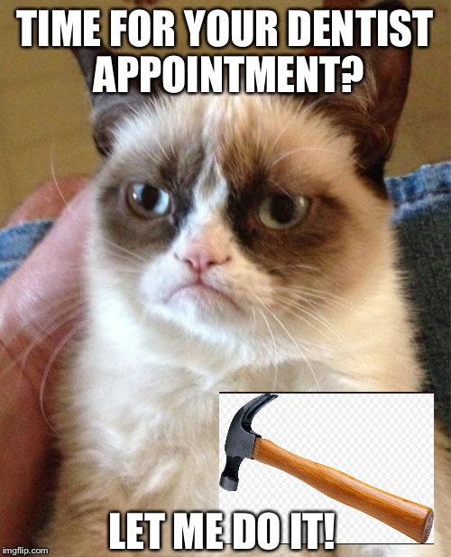 Grumpy Cat | TIME FOR YOUR DENTIST APPOINTMENT? LET ME DO IT! | image tagged in memes,grumpy cat | made w/ Imgflip meme maker