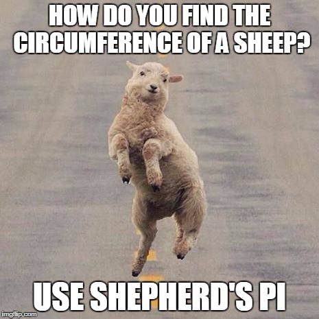 HappySheep | HOW DO YOU FIND THE CIRCUMFERENCE OF A SHEEP? USE SHEPHERD'S PI | image tagged in happysheep | made w/ Imgflip meme maker