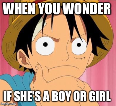 Luffy focused | WHEN YOU WONDER; IF SHE'S A BOY OR GIRL | image tagged in luffy focused | made w/ Imgflip meme maker