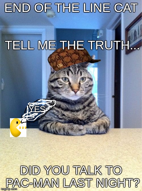 Take A Seat Cat | END OF THE LINE CAT; TELL ME THE TRUTH... YES; DID YOU TALK TO PAC-MAN LAST NIGHT? | image tagged in memes,take a seat cat,scumbag | made w/ Imgflip meme maker