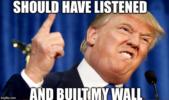 SHOULD HAVE LISTENED AND BUILT MY WALL | made w/ Imgflip meme maker