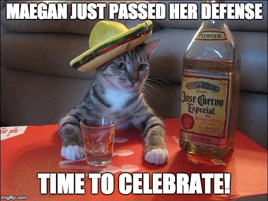 partycat | MAEGAN JUST PASSED HER DEFENSE; TIME TO CELEBRATE! | image tagged in partycat | made w/ Imgflip meme maker