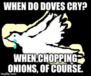WHEN DO DOVES CRY? WHEN CHOPPING ONIONS, OF COURSE. | image tagged in prince | made w/ Imgflip meme maker