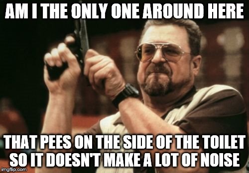 Am I The Only One Around Here Meme | AM I THE ONLY ONE AROUND HERE; THAT PEES ON THE SIDE OF THE TOILET SO IT DOESN'T MAKE A LOT OF NOISE | image tagged in memes,am i the only one around here | made w/ Imgflip meme maker