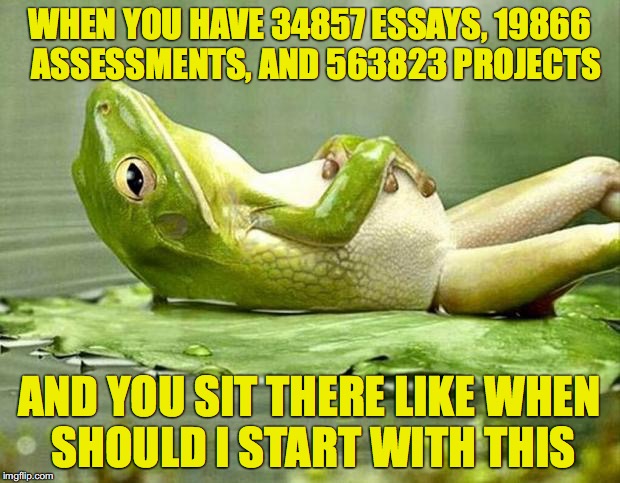 Lazy frog | WHEN YOU HAVE 34857 ESSAYS, 19866  ASSESSMENTS, AND 563823 PROJECTS; AND YOU SIT THERE LIKE WHEN SHOULD I START WITH THIS | image tagged in lazy frog | made w/ Imgflip meme maker