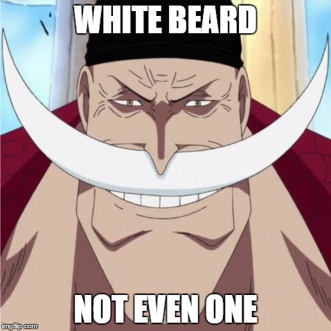 WHITE BEARD; NOT EVEN ONE | image tagged in white beard | made w/ Imgflip meme maker
