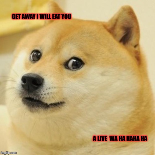 Doge | GET AWAY I WILL EAT YOU; A LIVE  WA HA HAHA HA | image tagged in memes,doge | made w/ Imgflip meme maker