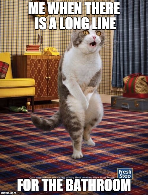 Gotta Go Cat | ME WHEN THERE IS A LONG LINE; FOR THE BATHROOM | image tagged in memes,gotta go cat | made w/ Imgflip meme maker