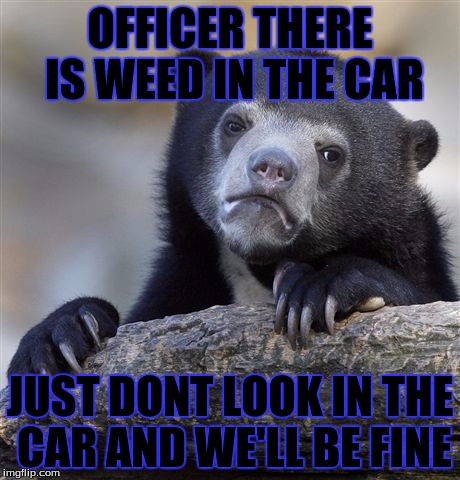 Confession Bear | OFFICER THERE IS WEED IN THE CAR; JUST DONT LOOK IN THE CAR AND WE'LL BE FINE | image tagged in memes,confession bear | made w/ Imgflip meme maker