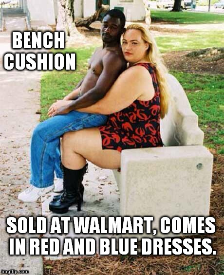 Bad luck Labrian | BENCH CUSHION; SOLD AT WALMART, COMES IN RED AND BLUE DRESSES. | image tagged in funny meme | made w/ Imgflip meme maker