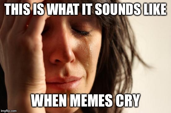 First World Problems Meme | THIS IS WHAT IT SOUNDS LIKE WHEN MEMES CRY | image tagged in memes,first world problems | made w/ Imgflip meme maker
