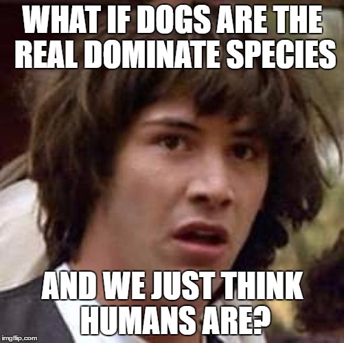 Conspiracy Keanu | WHAT IF DOGS ARE THE REAL DOMINATE SPECIES; AND WE JUST THINK HUMANS ARE? | image tagged in memes,conspiracy keanu | made w/ Imgflip meme maker