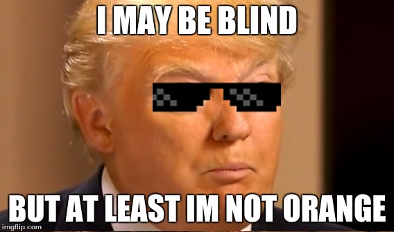 I'm Organge | I MAY BE BLIND; BUT AT LEAST IM NOT ORANGE | image tagged in donald trump | made w/ Imgflip meme maker