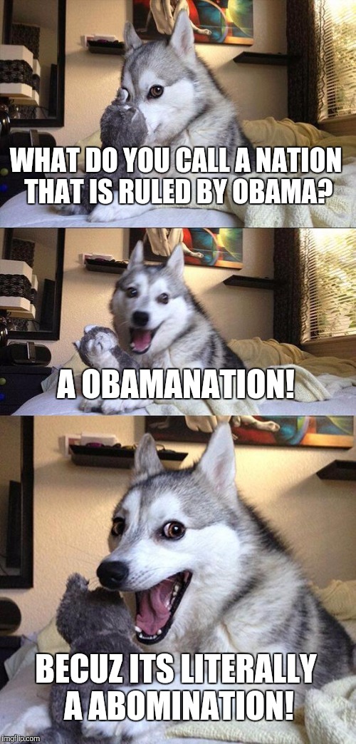 Bad Pun Dog Meme | WHAT DO YOU CALL A NATION THAT IS RULED BY OBAMA? A OBAMANATION! BECUZ ITS LITERALLY A ABOMINATION! | image tagged in memes,bad pun dog | made w/ Imgflip meme maker