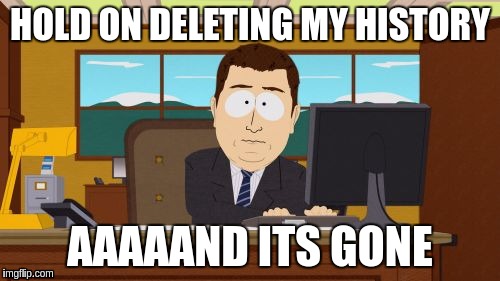 Aaaaand Its Gone | HOLD ON DELETING MY HISTORY; AAAAAND ITS GONE | image tagged in memes,aaaaand its gone | made w/ Imgflip meme maker