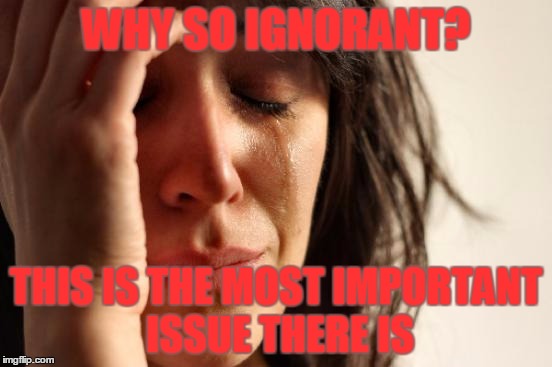 First World Problems Meme | WHY SO IGNORANT? THIS IS THE MOST IMPORTANT ISSUE THERE IS | image tagged in memes,first world problems | made w/ Imgflip meme maker
