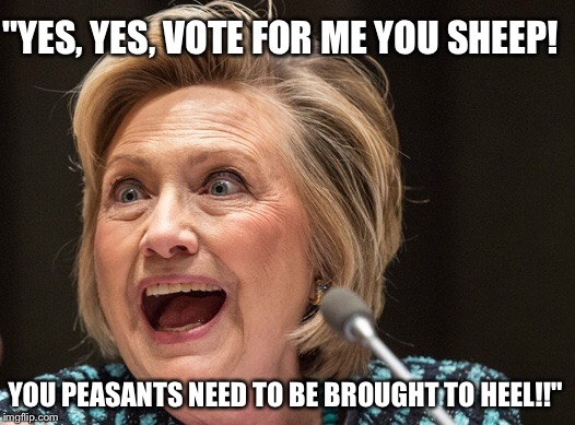 Queen Shrillary | "YES, YES, VOTE FOR ME YOU SHEEP! YOU PEASANTS NEED TO BE BROUGHT TO HEEL!!" | image tagged in hillary clinton,clinton,hillary | made w/ Imgflip meme maker