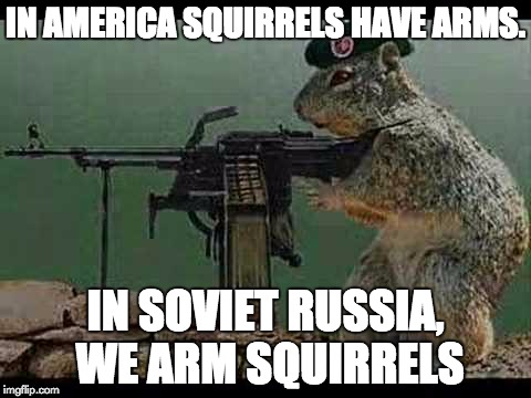 Russian Squirrel | IN AMERICA SQUIRRELS HAVE ARMS. IN SOVIET RUSSIA, WE ARM SQUIRRELS | image tagged in memes,in soviet russia | made w/ Imgflip meme maker