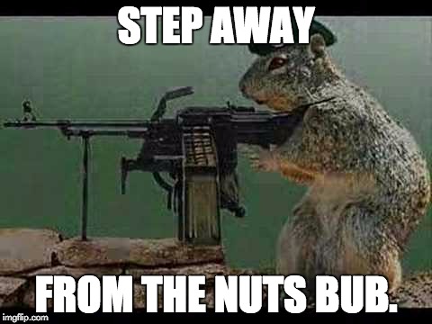 overprotective squirrel | STEP AWAY; FROM THE NUTS BUB. | image tagged in squirrel | made w/ Imgflip meme maker
