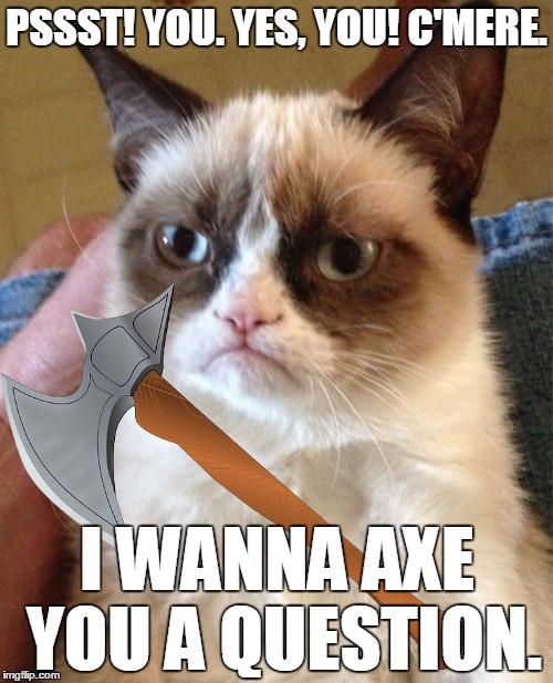 The final Walmart solution | PSSST! YOU. YES, YOU! C'MERE. I WANNA AXE YOU A QUESTION. | image tagged in memes,grumpy cat,axe,maim,grammar,i speak walmart | made w/ Imgflip meme maker