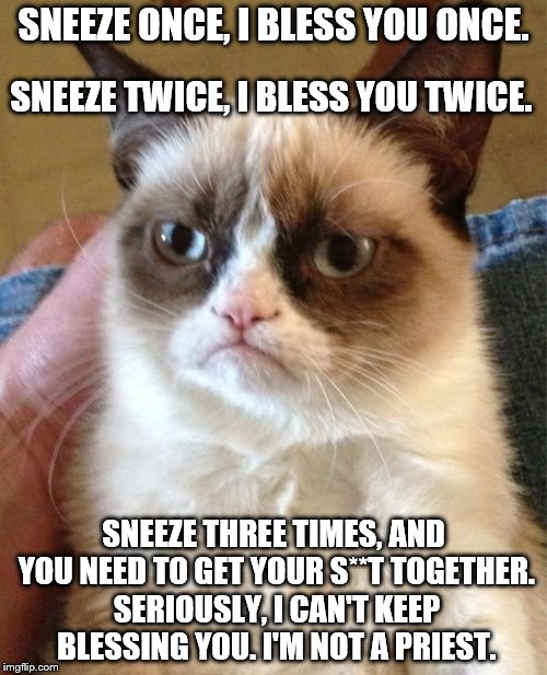 Grumpy Cat Meme | SNEEZE ONCE, I BLESS YOU ONCE. SNEEZE TWICE, I BLESS YOU TWICE. SNEEZE THREE TIMES, AND YOU NEED TO GET YOUR S**T TOGETHER. SERIOUSLY, I CAN'T KEEP BLESSING YOU. I'M NOT A PRIEST. | image tagged in memes,grumpy cat | made w/ Imgflip meme maker